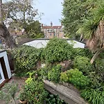 Little Oasis In Brixton